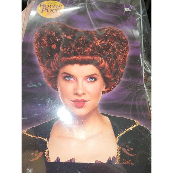 Winnie Sanderson Wig - Picture 1 of 1
